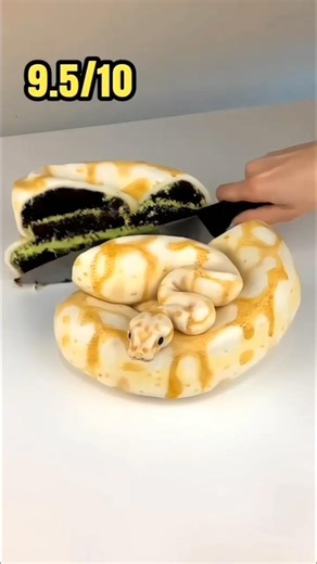 Guess Cake challenge Real or Fake🤔