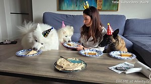 🎂 BIRTHDAY STREAM!!! Baking a cake! Opening gifts!! 🥳 FUN PARTY TODAY!!!! 🎈