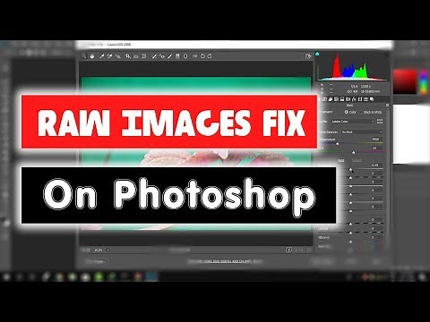 [Solved] How to Fix Can't Open Raw Images in Photoshop, Lightroom and Adobe Bridge