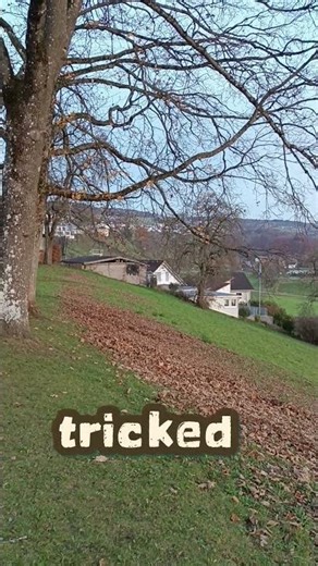 The Fake Healer — When a Lie Turns into a Real Miracle