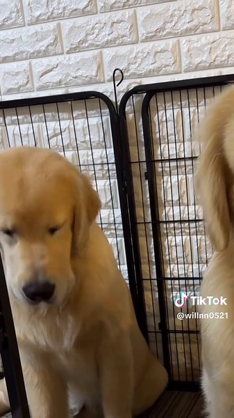 Mastering Virtual Reality Techniques