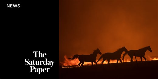 Planning to protect animals during natural disasters