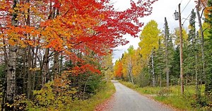 Maine, un estado rodeado de colorida naturaleza