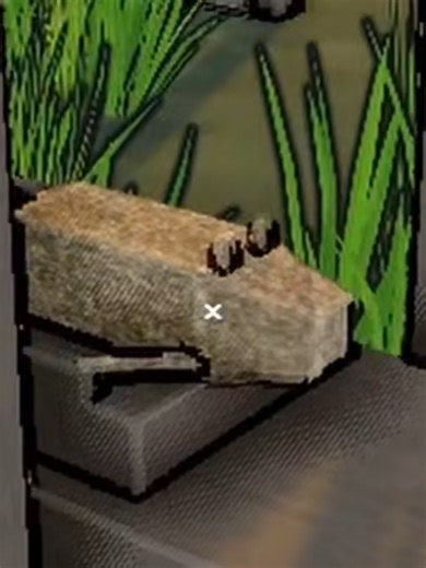 Facing Anxiety During Steam Game Review