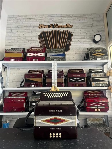 🎉 ATENÇÃO, AMANTES DAS CONCERTINAS! 🎉 Está quase a sair do forno uma belezura que vai fazer tremer os salões e arrepiar os corações! ❤️🎶 📦 Brevemente disponível: 👉 Hohner Morino III – A máquina de fazer bailar toda a aldeia! 🔥 🎵 3ª voz – porque duas não chegam! 🎼 Afinação Mi-La-Ré – perfeita para espalhar alegria! ✨ Fol fitado? Claro que sim, com aquele toque de classe! 🆕 Correias novinhas em folha! 👜 Saco novo, pronto para ir contigo para onde quiseres! 🎯 Pronta para brilhar nos palc