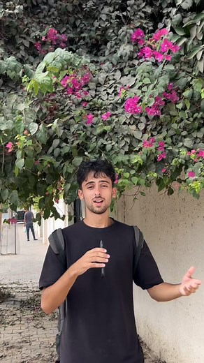 Mohammed and Omar Show on Instagram: "New chapter.."