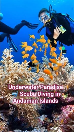 Dive into Andaman’s UNSEEN Underwater World 🤿🐢 #shorts #ScubaDiving #ScubaLife #andaman
