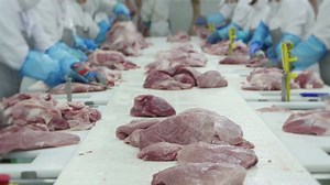 Group Butchers Working Meat Processing Factory Stock Footage Video (100% Royalty-free) 1035806837 | Shutterstock