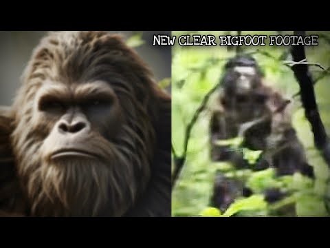 NEW Clearest Bigfoot Footage Just Released! *EXCLUSIVE VIDEOS*