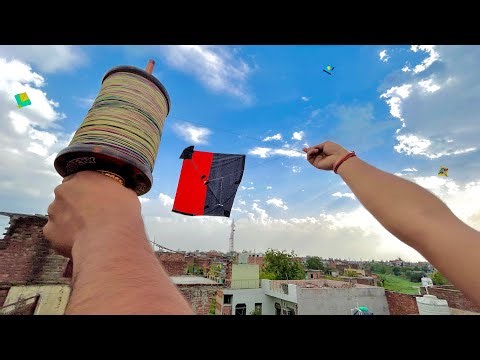 Kite Fighting Tricks With Panda Manjha Testing | Kite Cutting | New Kite 🪁