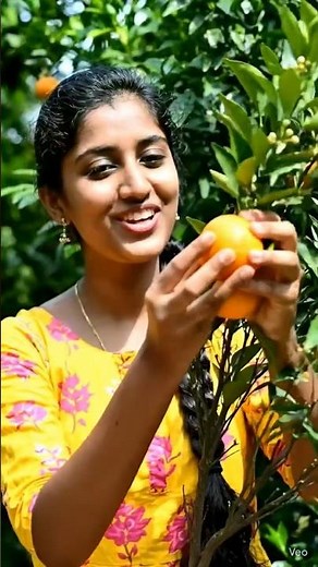 𝗢𝗥𝗔𝗡𝗚𝗘 𝗜𝗡 𝗛𝗢𝗠𝗘 𝗚𝗔𝗥𝗗𝗘𝗡 #orange #cultivation #garden