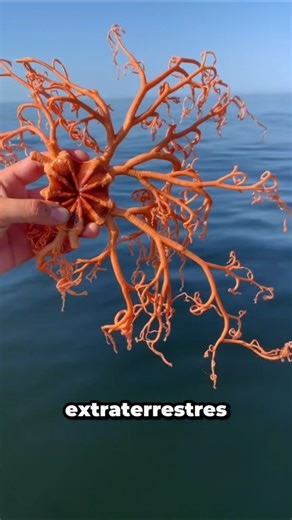 Reject them immediately! #shortsvideo