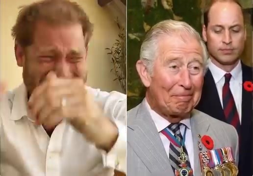 297K views · 957 reactions | Harry was diagnosed to be free of hereditary cancer from Charles, as DNA test results revealed that his biological father is actually..." Full story below  | Prince of Wales | Facebook