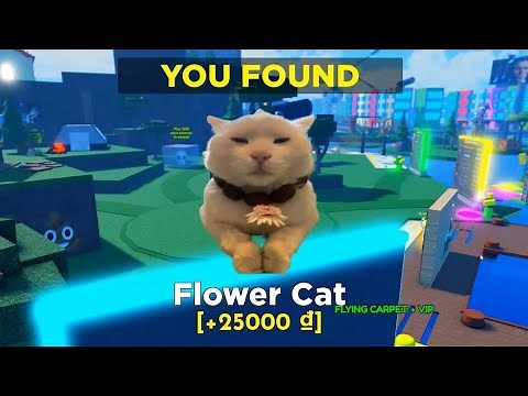 How to get FLOWER CAT in FIND THE MEMES 2 Roblox