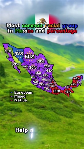 Most common racial group in Mexico #mapping #map #mexico