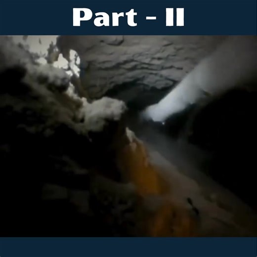 New special episode of men vs wild with bear grills in hindi #manvswildlife #beargrylls | Amal Saren