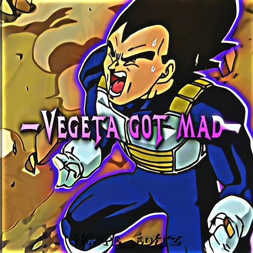 Vegeta Got mad☠