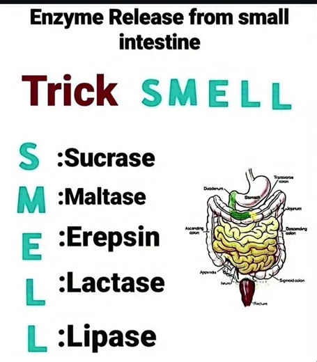 28K views · 150 reactions | Delhi nursing competition classes LAXMI NAGAR DELHI on Reels | Facebook