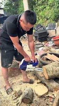 Mini chainsaw for harvesting cinnamon, bodhi tree bark, and cutting firewood for home use. #gasch...