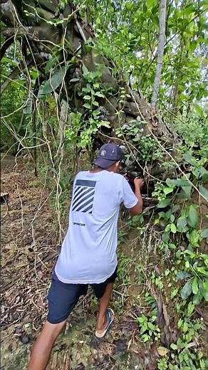 tangkapan hewan yang paling bagus #shortvideo