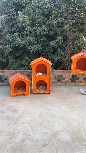 Easy Assembly Wooden Chicken Coop Panels🏘🏘🏚🏚🏠🏠