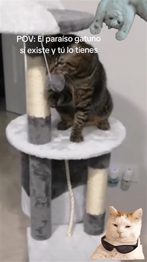 YOMMY Torre Multinivel para #gatos #amorgatuno | Árbol #rascadoresparagatos Todo en Uno | Plataforma para Trepar, Rascar y Descansar | Poste de Sisal Resistente | Cama y Mirador Elevado | Centro de Actividad para Gatitos y Adultos | Mueble para Gatos Interior #tiktokshop #tiktokshopespaña🇪🇸