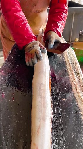 pigpigmomo on TikTok