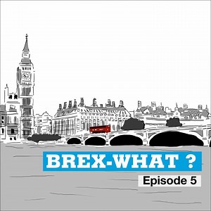 2.9K views · 31 reactions |  Given the latest vote from the UK parliament and the fast-approaching April 12th deadline, Brex-what? looks at the effects of a no-deal #Brexit. Would Britain and Europe be plunged into chaos? Or is that just “project fear”? | FRANCE 24 English | Facebook