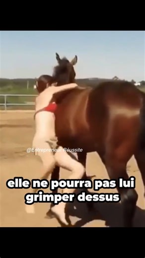 3.5K views · 50 reactions | La vidéo de ce cheval a fait le tour du monde ! | Entrepreneur Réussite | Facebook