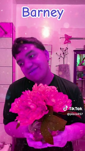 #ColorCustomizer #duet #barneythedinosaur #barneyandfriends #barneywhatmakesaflowersoprettysong #barney #flowers #barneysongs #whatmakesaflowersopretty #pizza257 #marvinnavarro