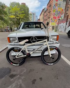 Animal Bikes on Reels