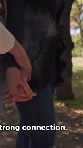 lily and Alex story #story #viralvideo #espiritualidade #inspiration