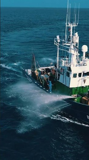 Pêcherie de thon germon d'Aquitaine - short 2