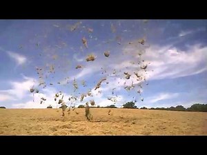 Dust Devil Blows Hay Into the Air in West Sussex