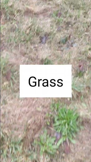 Plan your trip routes in Locus Map with surfaces and way types