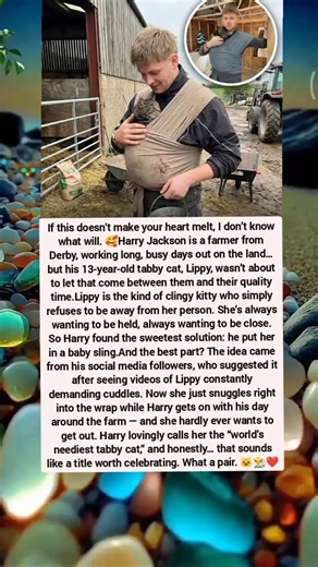 FARMER CARRIES HIS “NEEDIEST” CAT IN A SLING… PURE LOVE AND FARM LIFE MOMENTS 🐱👨‍🌾❤️🥹