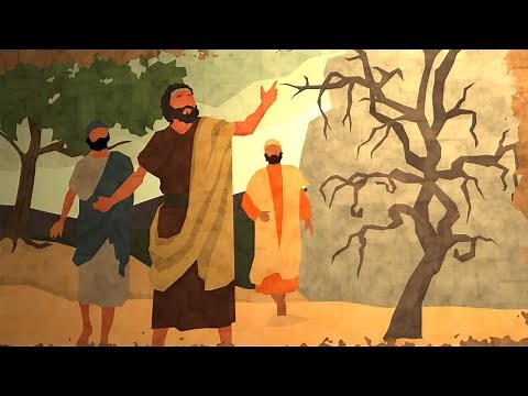 The Lesson of the Withered Fig Tree