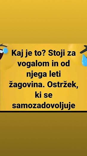 Understanding Hungarian Text Translations