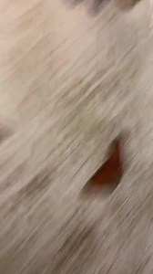 9.2K views · 332 reactions | Part 1: why are farmers so good at interior decorating?! #countrylife | William Jensen | Facebook