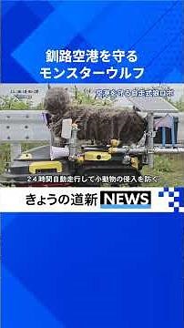 Autonomous "Monster Wolf" Deployed at Kushiro Airport to Deter Small Animals 24/7 #MonsterWolf #W...