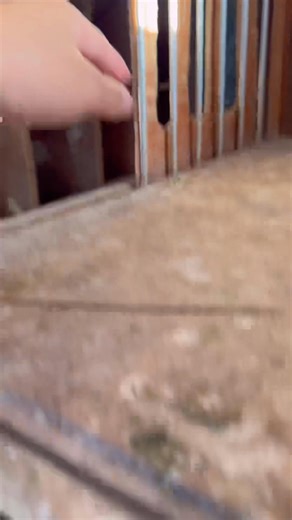 Tapon ang sabaw 3rd Bird from Aparri rank 8 overall | Maverick Azarcon