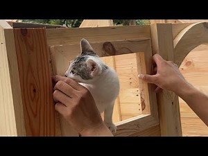 Design A Large Dog House From Pallet // Creative Ideas From Pallets