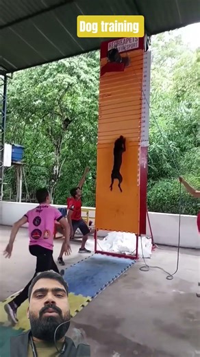 #fighter #respect #greenscreen