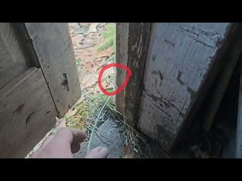 Odd Mishaps that will Make You Laugh Out Loud! 😂