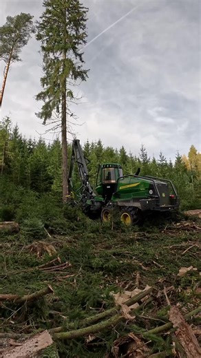 Experience the New Standard in Forestry with John Deere