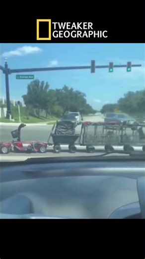 The Tweaker Express #fypシ #comedyfilms #helpmemakethismakesense #funny #nature #automobile