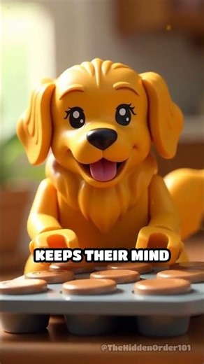 Easy DIY Puzzle Toys for Smart Dogs