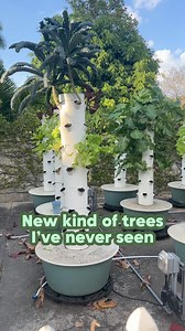 15K views · 24 reactions | The future of trees #reels #plants #viral #gardening | Leon and Chelsea's Reels | Facebook