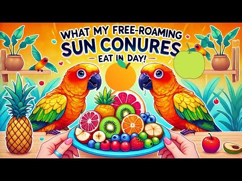 Sun Conures Diet in a Day! | Healthy Diet 🦜🍎🌿 #SunConure #Sunconures diet #healthyfood