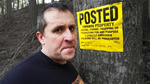 Hunting bears with hounds leads to wild adventures